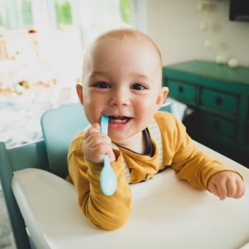 diversification alimentaire pour les bébés allaités