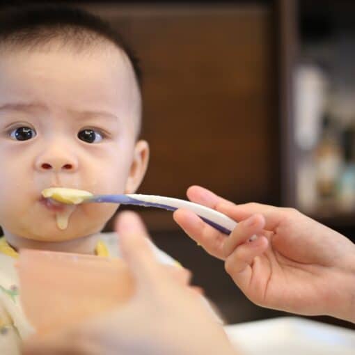 mon bébé refuse les purées